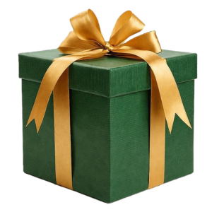 Free Surprise Gift for you (E-book)